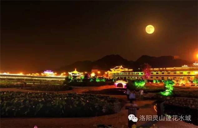 2016年中原十八地市旅行社联盟成立
