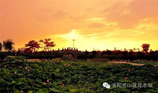 2016年中原十八地市旅行社联盟成立