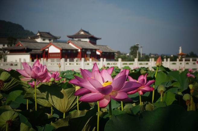 2016年中原十八地市旅行社联盟成立