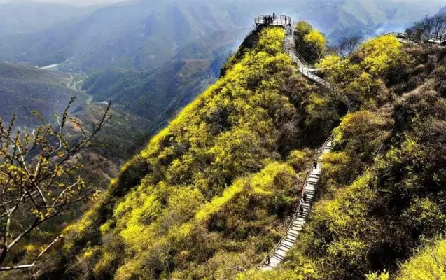  方城七峰山高空玻璃索桥9月3日正式开放！快来领免费体验卡！