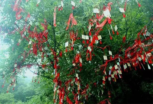2016老君山观海避暑节完美收官