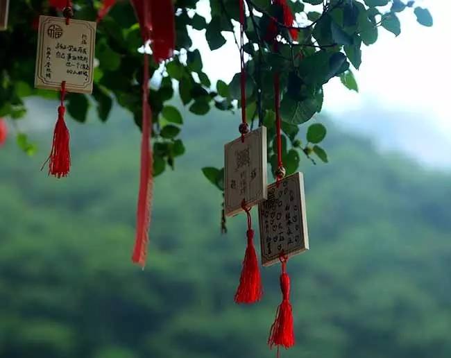 2016老君山观海避暑节完美收官