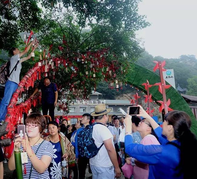 2016老君山观海避暑节完美收官