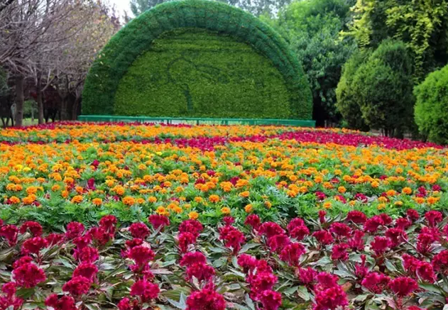快来抢看啦~第十六届花博会开幕式主会场花博园新添小景 快来抢看啦~第十六届花博会开幕式主会场花博园新添小景