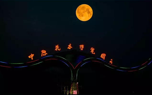 快来抢看啦~第十六届花博会开幕式主会场花博园新添小景 快来抢看啦~第十六届花博会开幕式主会场花博园新添小景