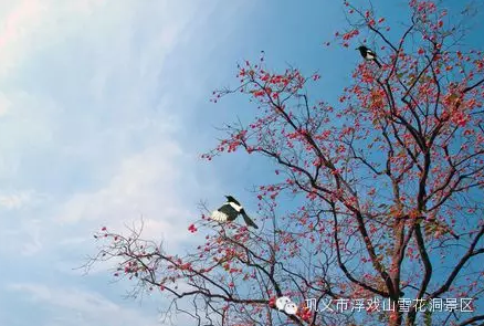 浮戏山雪花洞2016“定格美丽”随手拍网络摄影大赛开始啦！