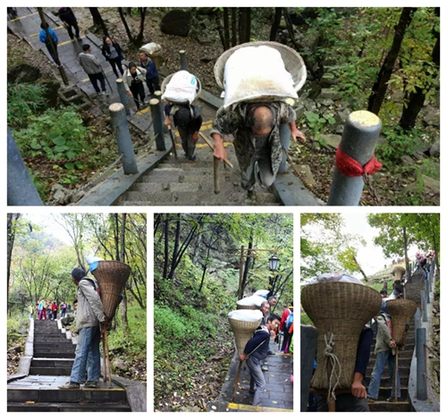 人间仙境来之不易 到洛阳白云山旅游需珍惜！