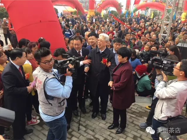 2016年林州国际和平艺术节•茶店镇第二届菊花文化旅游节的盛大开幕。