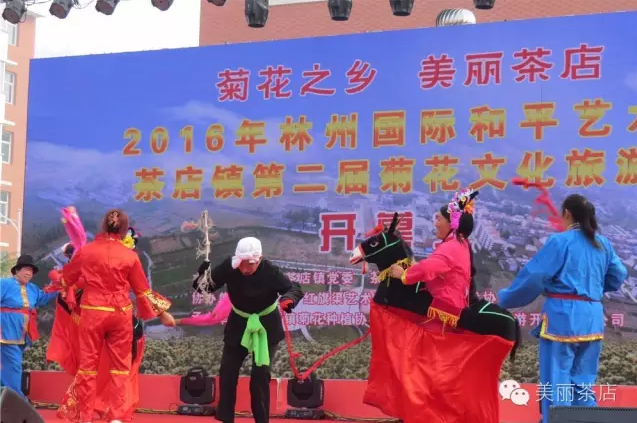 2016年林州国际和平艺术节•茶店镇第二届菊花文化旅游节的盛大开幕。
