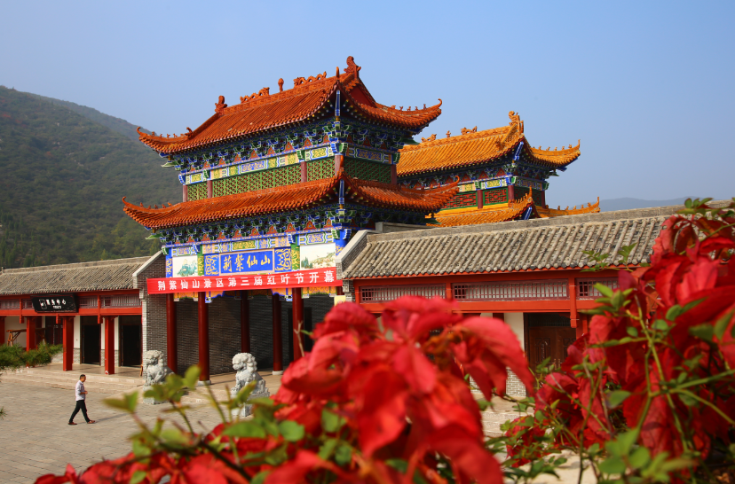 满山红叶遍中原