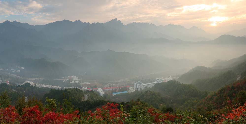 满山红叶遍中原