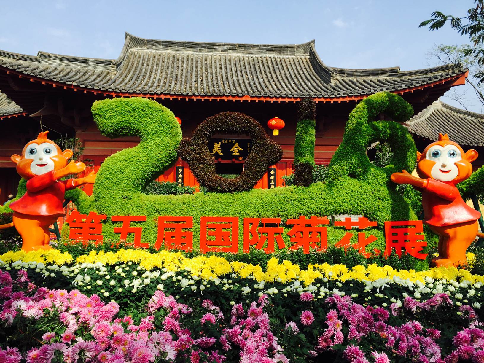 这个季节，最美的事情就是要到开封赏菊去