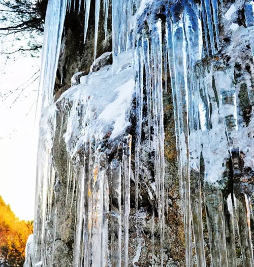 洛阳白云山今年不闭园！冰挂冰雕冰球冰车滑雪等你来！