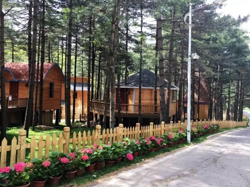 洛阳白云山旅游度假区官方网站将全新改版