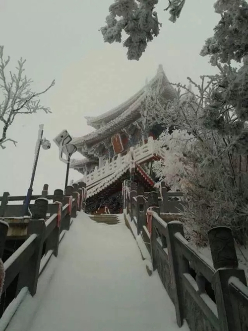 洛阳白云山旅游度假区官方网站将全新改版