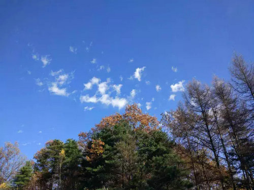 洛阳白云山旅游有限责任公司顺利通过ISO9001质量管理体系认证