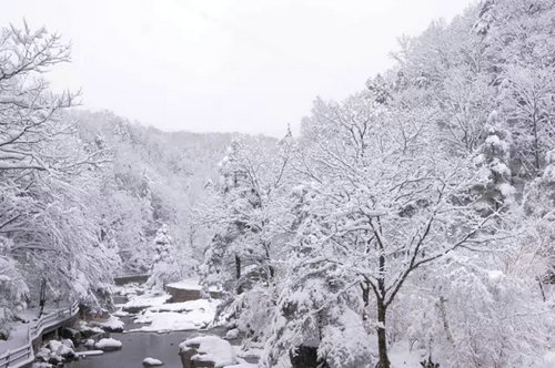洛阳白云山旅游有限责任公司顺利通过ISO9001质量管理体系认证