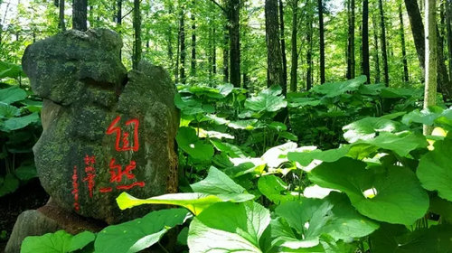 洛阳白云山旅游有限责任公司顺利通过ISO9001质量管理体系认证