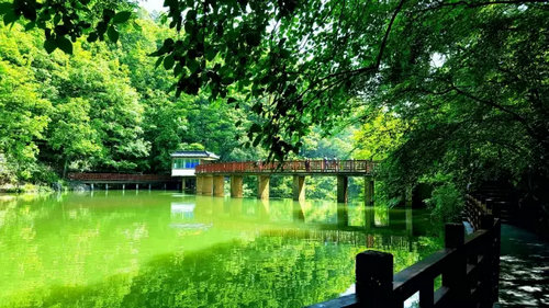 洛阳白云山旅游有限责任公司顺利通过ISO9001质量管理体系认证