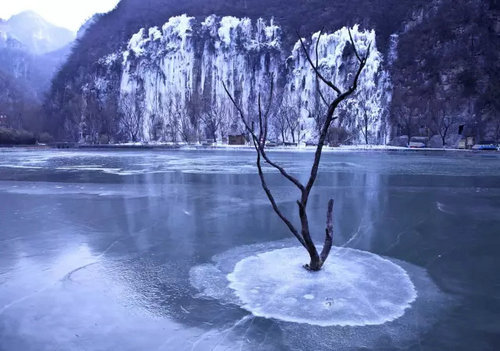 喜讯 博爱县荣获2016同程旅游十大最具潜力旅游目的地称号