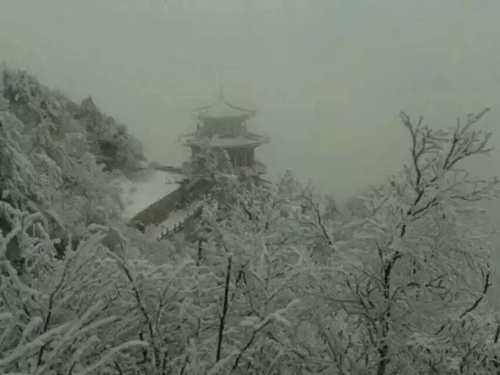 因为一场雪 爱上白云山！