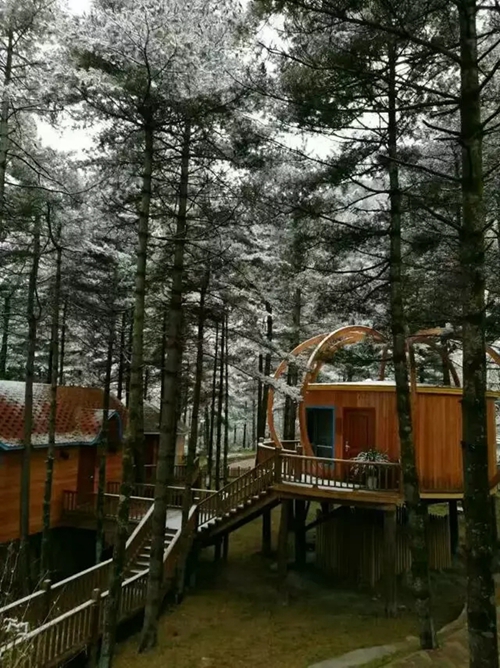 因为一场雪 爱上白云山！