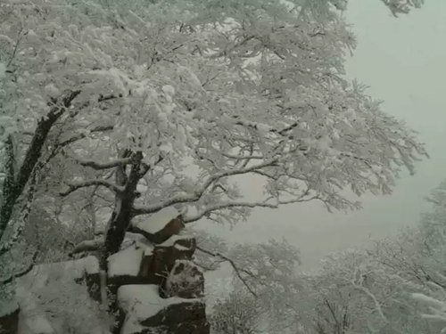 因为一场雪 爱上白云山！