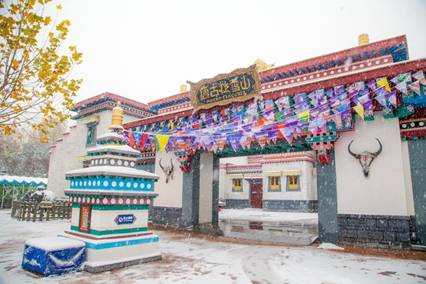 赏雪撒欢两不误 郑州方特千人扫雪迎游客