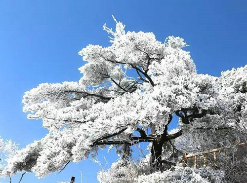 老君山雪景 一种令人无法忘怀的画面！