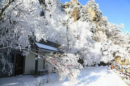 老君山雪景 一种令人无法忘怀的画面！