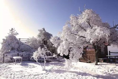 老君山雪景 一种令人无法忘怀的画面！