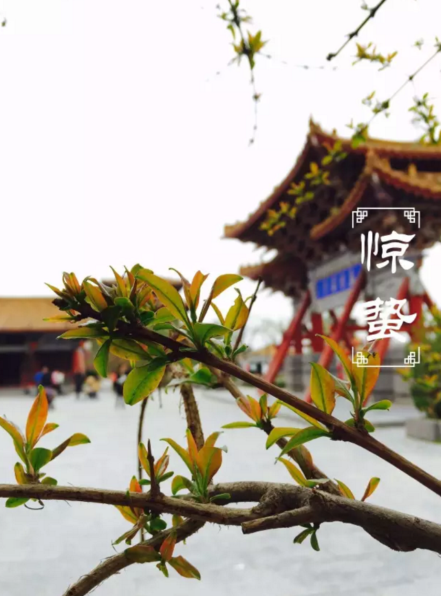 二十四节气非遗了，法定节假日也定了，清明上河园这么美，让我们跟着节气来看看~