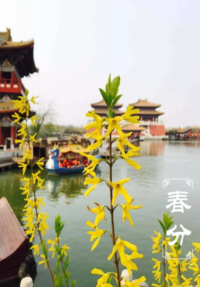 二十四节气非遗了，法定节假日也定了，清明上河园这么美，让我们跟着节气来看看~