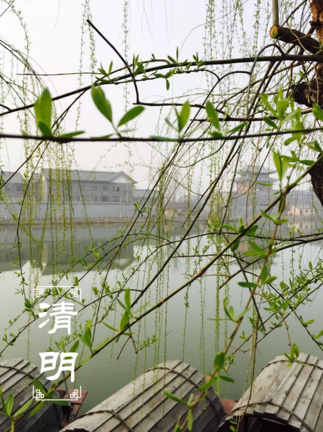 二十四节气非遗了，法定节假日也定了，清明上河园这么美，让我们跟着节气来看看~