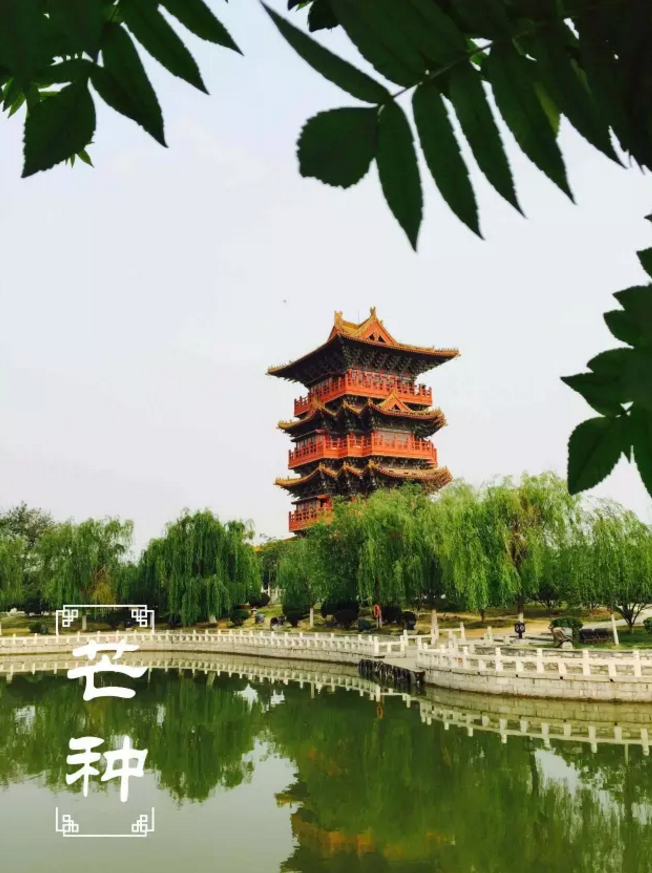 二十四节气非遗了，法定节假日也定了，清明上河园这么美，让我们跟着节气来看看~