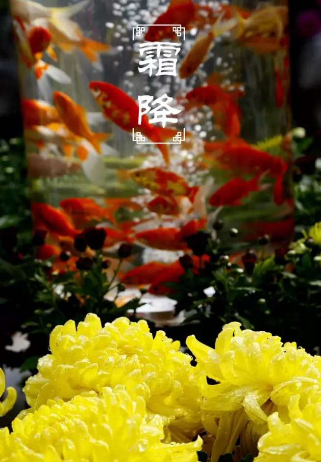 二十四节气非遗了，法定节假日也定了，清明上河园这么美，让我们跟着节气来看看~