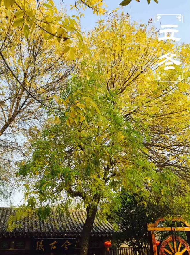 二十四节气非遗了，法定节假日也定了，清明上河园这么美，让我们跟着节气来看看~