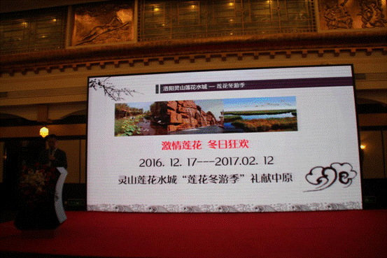 激情莲花  冬日狂欢  灵山莲花水城冬游季华彩启幕