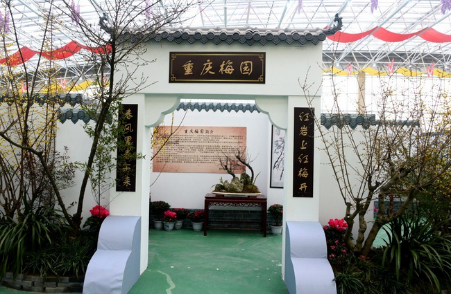 【大美许昌 】闻香何必去远行，赏梅只需到鄢陵
