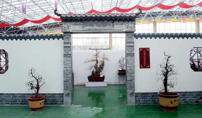 【大美许昌 】闻香何必去远行，赏梅只需到鄢陵