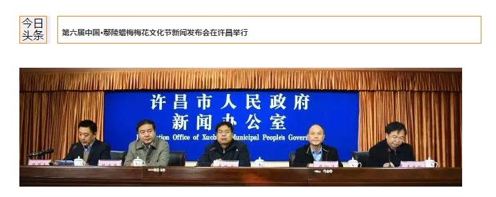 绿植苍翠，二梅飘香——第六届中国·鄢陵蜡梅梅花文化节新闻发布会今日举行