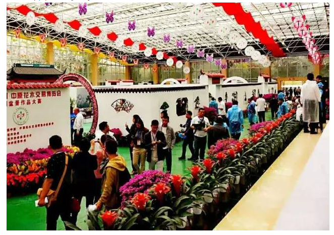 绿植苍翠，二梅飘香——第六届中国·鄢陵蜡梅梅花文化节新闻发布会今日举行