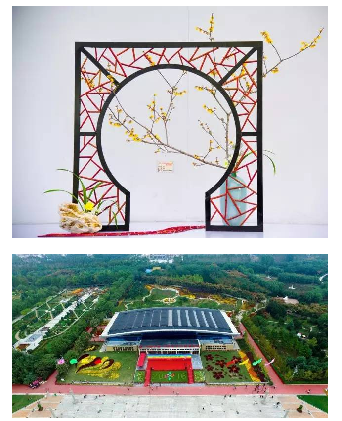 绿植苍翠，二梅飘香——第六届中国·鄢陵蜡梅梅花文化节新闻发布会今日举行