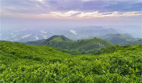 河南西九华山荣获中原旅游金口碑奖