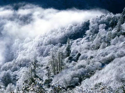 洗肺圣地白云山，寻鹿圣诞狂欢节！