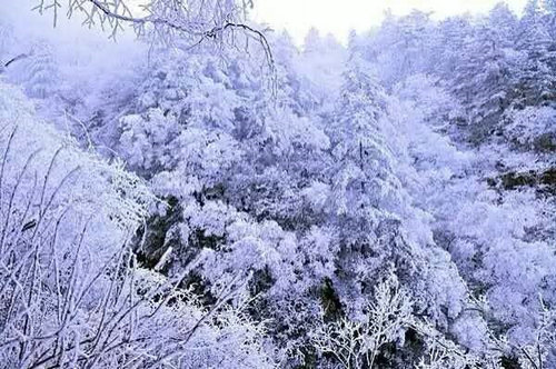 洗肺圣地白云山，寻鹿圣诞狂欢节！