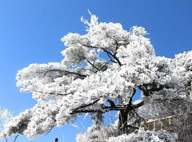 到老君山 来一段冰雪奇缘