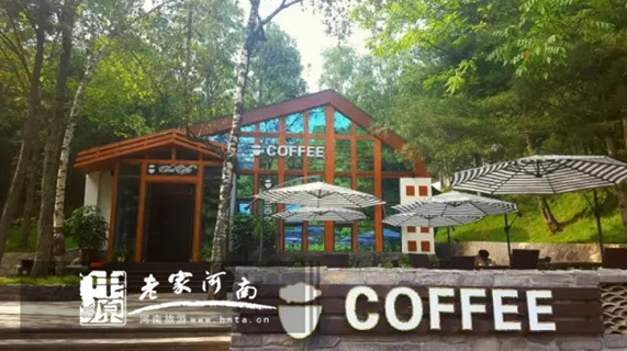 乐享不一样的新年新体验,吃喝玩乐尽在洛阳白云山 乐享不一样的新年新体验,吃喝玩乐尽在洛阳白云山