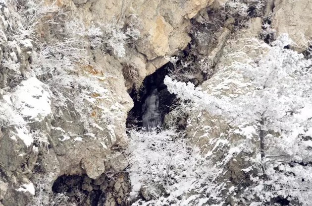 君山之上恰逢云雪雾凇