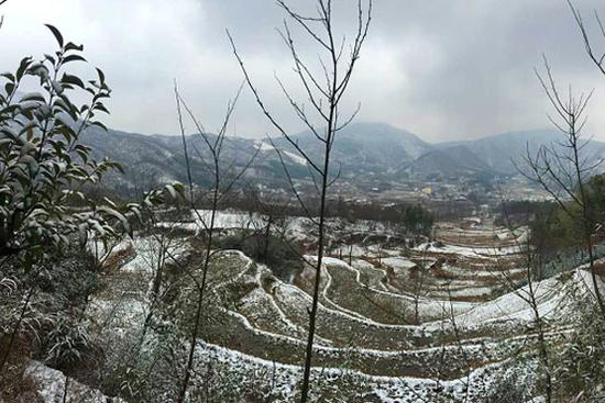 又是春来时 雪染西九华 又是春来时 雪染西九华